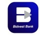 Data Analyst needed at Bidvest Bank Limited