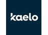 Kaelo is looking for Risk Consultant