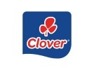 Clover S A Proprietary Limited is looking for Plant Engineer
