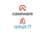 Public Sector Account Manager at Caseware Africa