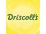 Financial Controller at Driscoll s