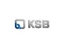 Sales Engineer at KSB Company