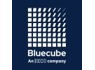 Accounts Receivable Analyst needed at Bluecube Technology Solutions An Ekco Company