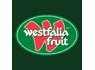 Head needed at Westfalia Fruit