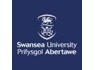 Lead Specialist at Swansea University Prifysgol Abertawe
