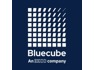 Bluecube Technology Solutions An Ekco Company is looking for Engineer