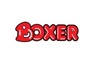 Information Technology Representative at Boxer Super<em>stores</em>