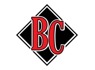 Bophelong Construction Pty Ltd t a BopCons is looking for Information Technology Technician
