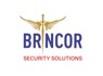 Security Technician needed <em>in</em> Pretoria