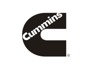 Customer <em>Sales</em> Representative needed at Cummins Africa Middle East