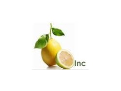 Diesel Earthmoving Mechanic