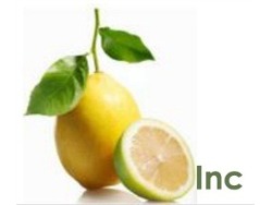 SAGE Developers Consultants