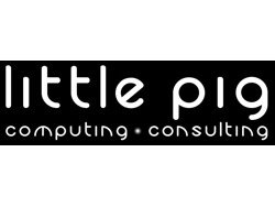 ICT Industry Internships