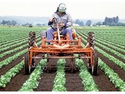 Farm Personal Assistant