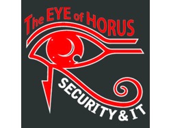 Security Technician Installer