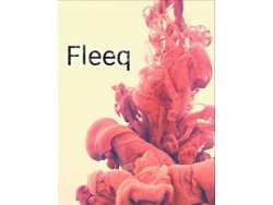 Online brand ambassadors