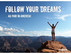 Work, travel and Earn Dollars