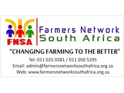 IT Administrator Internship