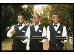 Are u looking for waitering job but have no certificate we are your solution come please