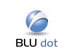 SAGE 300 BUSINESS CONSULTANT