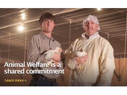 Senior Administrative Assistant