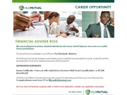 Personal Financial Advisor