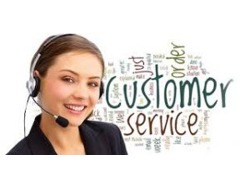 Customer Service Consultants