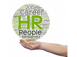 Claims Administrator