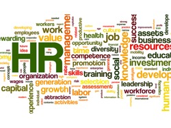 Human Resource Consultant