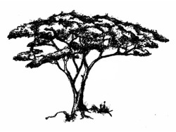 FOUNDATION PHASE TEACHER