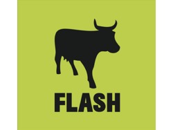 Call Centre teamleader wanted