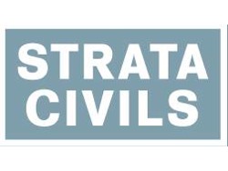 Civils land surveyor wanted