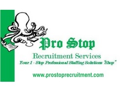 Business Systems Analyst