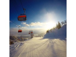 Zoo Guest Agents And Hotel Maintenance Technician