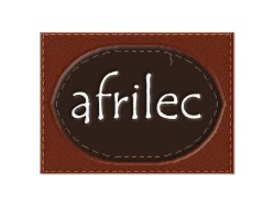 Junior Graphic Designer