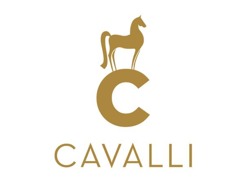 Maintenance assistance required