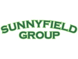 Debtors clerk needed