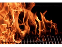 Kitchen General Worker