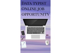 Online data capturing