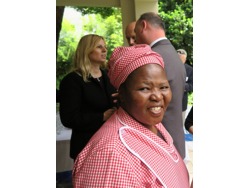 Dynamic Domestic Dame