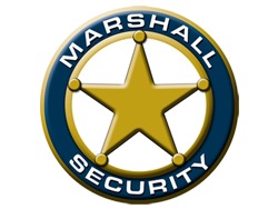 Technical manager needed