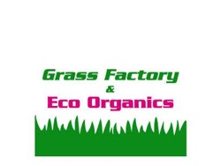 Looking for sales person