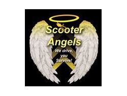 Designated driver teams required