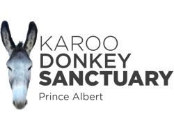 Equine rehabilitation and farm manager wanted