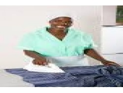 Domestics and cleaners