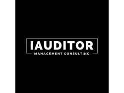 Auditor required