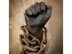 Rica, Connect, Port and Activate