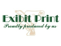 Looking for Code 10 driver