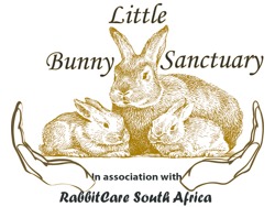 COUPLE required as Volunteer Shelter Animal and Rabbit Caretakers
