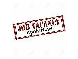 POLOKWANE SMELTER OPEN NEW VACANCY FOR MORE INFO CONTACT MR MOLOTO 0762644587